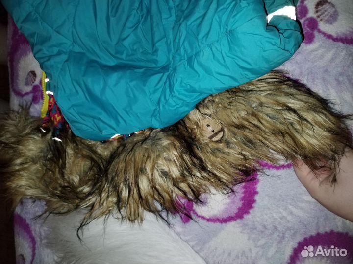 Комбез зимний для собаки мальчика