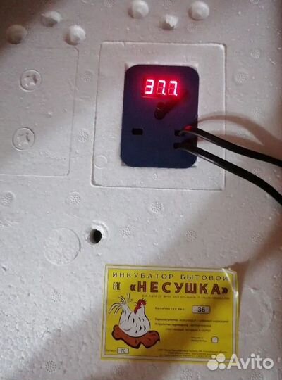 Инкубатор Несушка