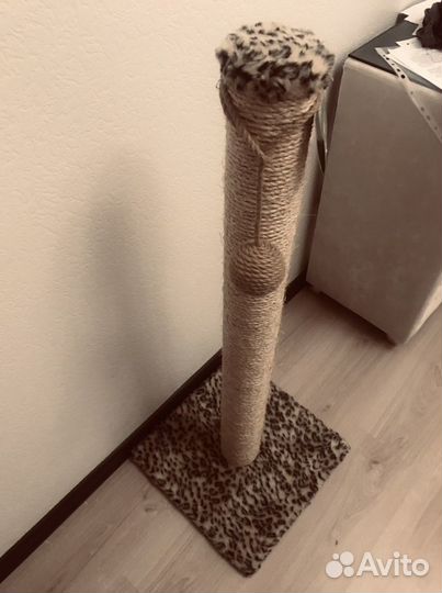 Когтеточка для кошек