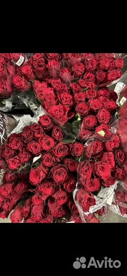 Живые цветы букеты розы