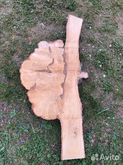 Срезы дерева