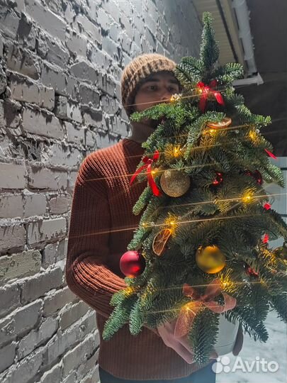 Композиция и Ёлочки из нобелиса