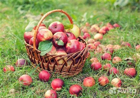 Упаковщик на производство вахта