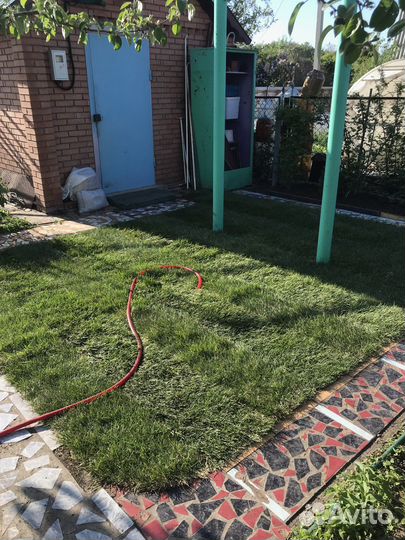 Рулонный газон/рулонный газон под ключ