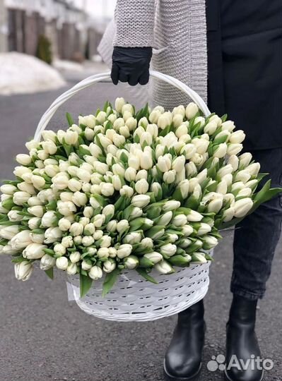 Букеты из 19, 21, 31, 51 тюльпанов