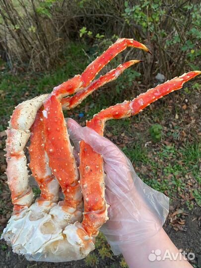 Икра щуки 1 кг