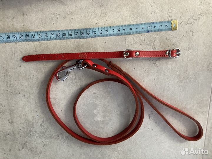 Комплект ошейник и поводок