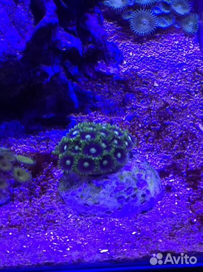 Морской аквариум 30л кубик