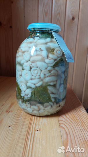 Белые грузди