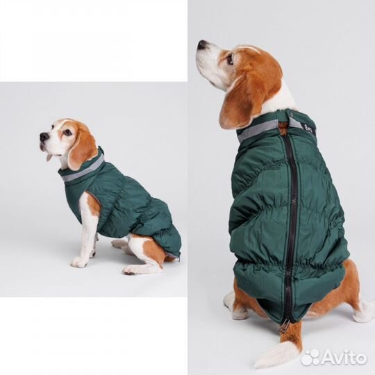 Зимняя одежда для собаки среднего размера