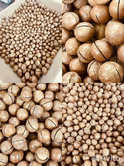 Макадамия 5А