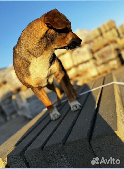 Тротуарная плитка с доставкой заказ от 120 м2