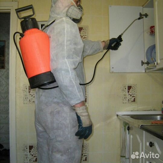 Дезинфекция, травля клопов тараканов