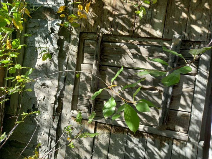 Дача 10 м² на участке 6 сот.