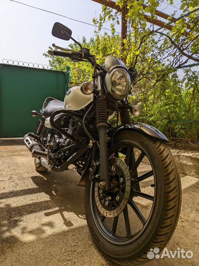 Bajaj avenger street 220