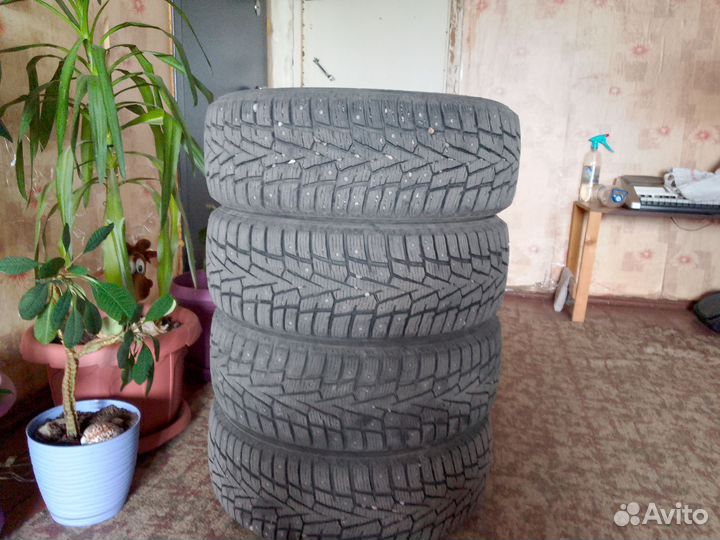 Roadstone Winguard 205/55 R16