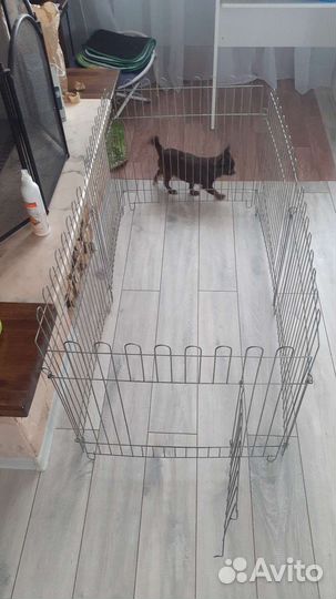 Вольер для мелких собак