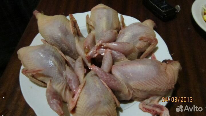 Мясо и яйцо перепелов