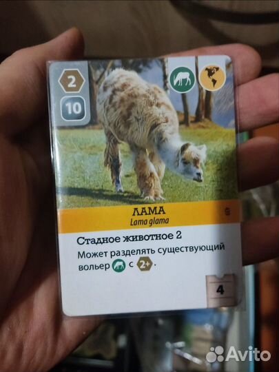 Ark nova с русскими вставками