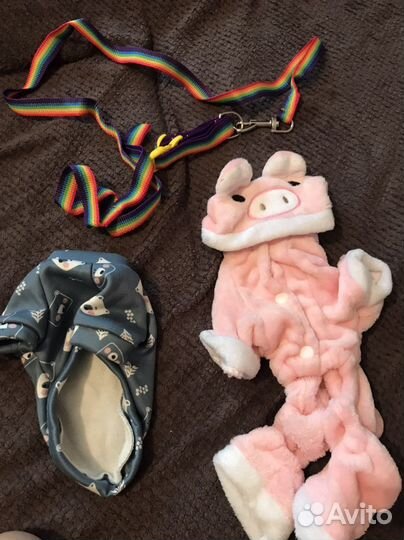 Вещи для собачки