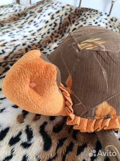 Черепашки диванные