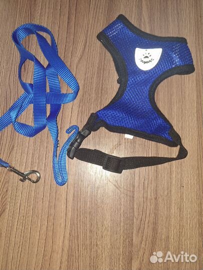 Шлейка и жилетка для кошки