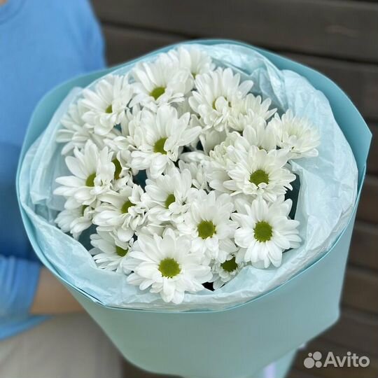 Хризантемы на заказ