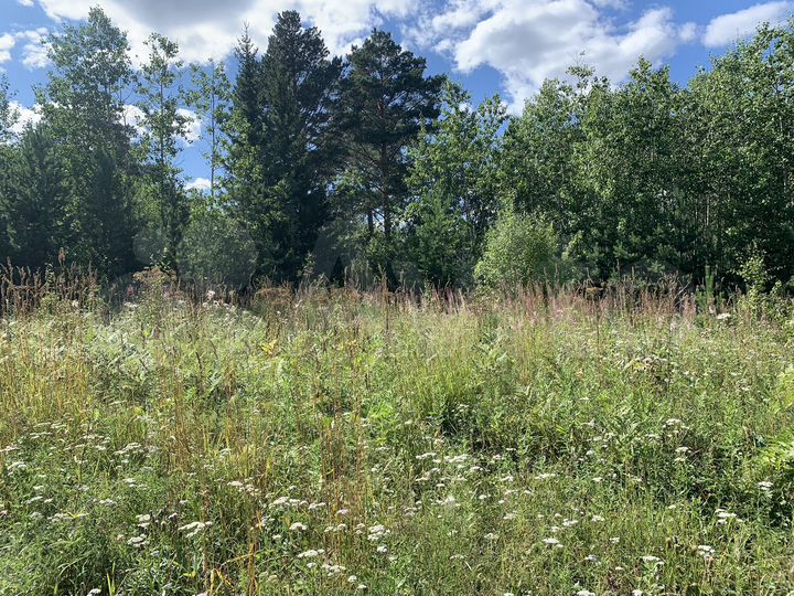 Участок 20 сот. (СНТ, ДНП)