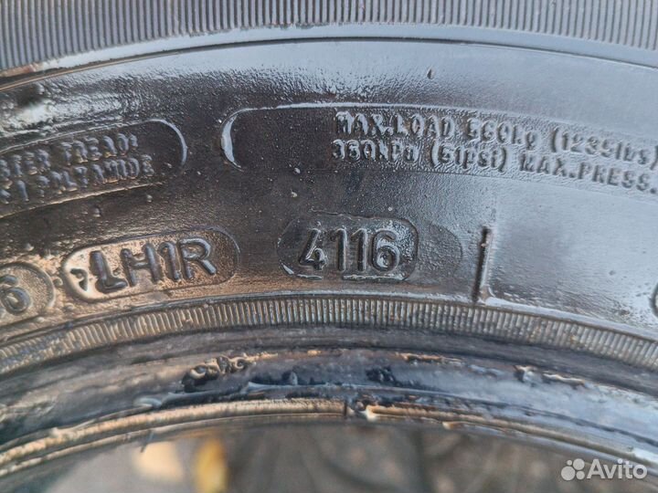 Sava Eskimo Ice 185/70 R14