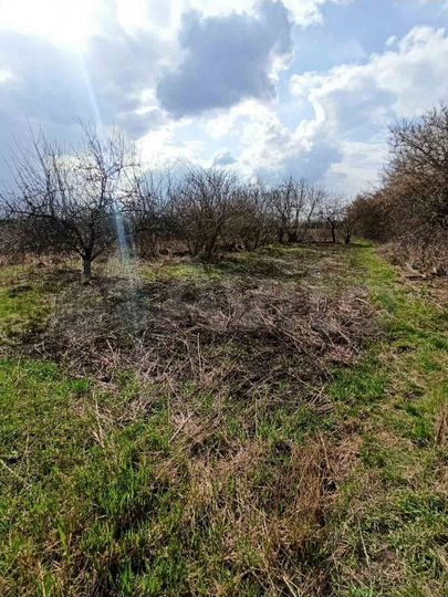 Дом 60 м² на участке 50 сот.