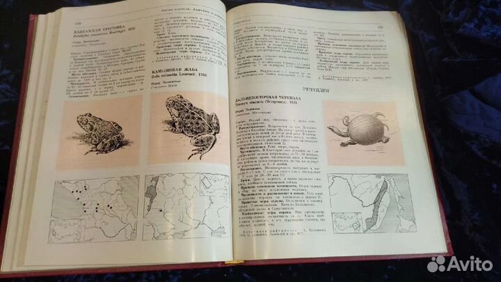 Красная книга СССР 1978