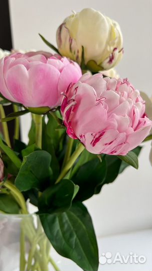 Пионы букет пионов доставка искусственные цветы