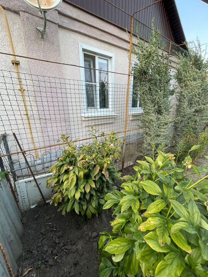 Дом 64 м² на участке 7,4 сот.