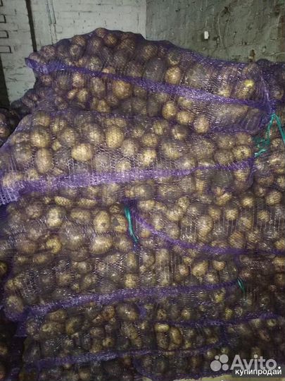 Продукты питания