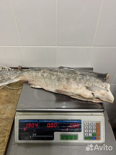 Кета свежемороженая