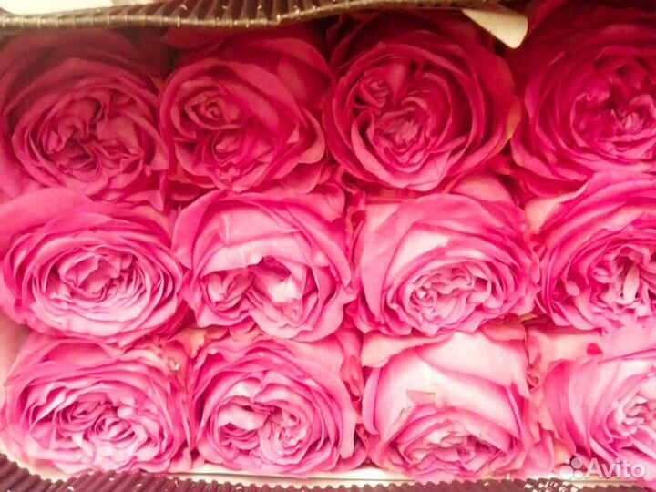 Букеты роз с доставкой без посредников