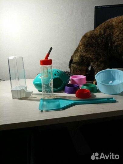 Для животных