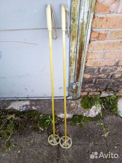 Лыжные палки