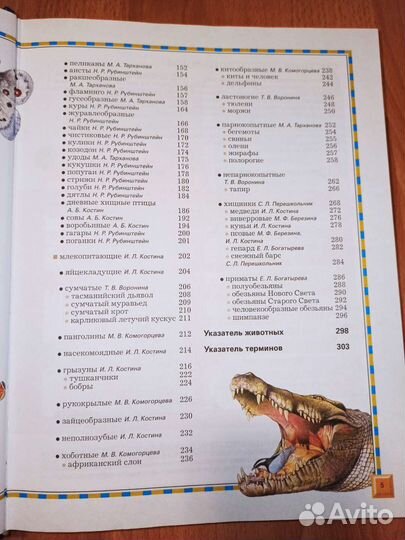 Детская энциклопедия