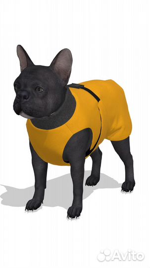 Одежда для собак. Любых размеров и цветов