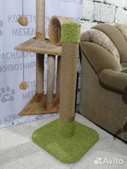 Когтеточка