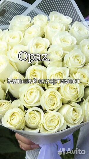 Букет 35 роз