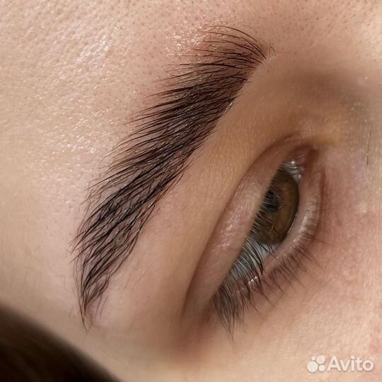 Мастер бровист