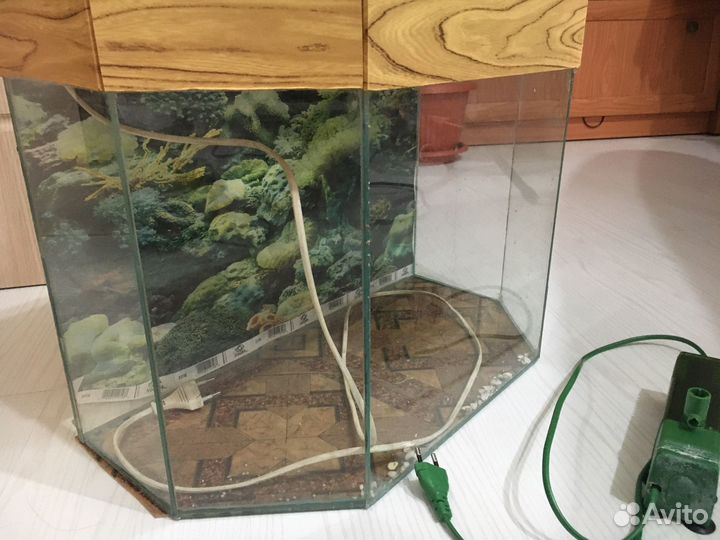 Аквариум
