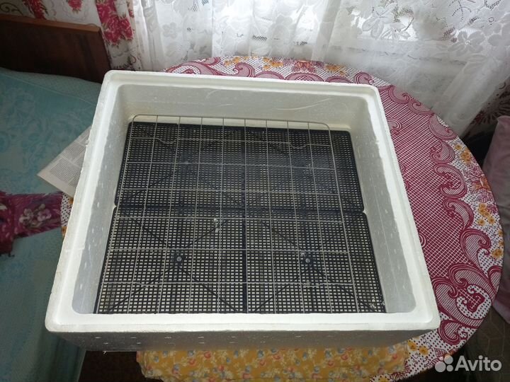 Инкубатор для яиц