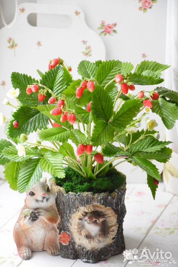 Земляника из глины