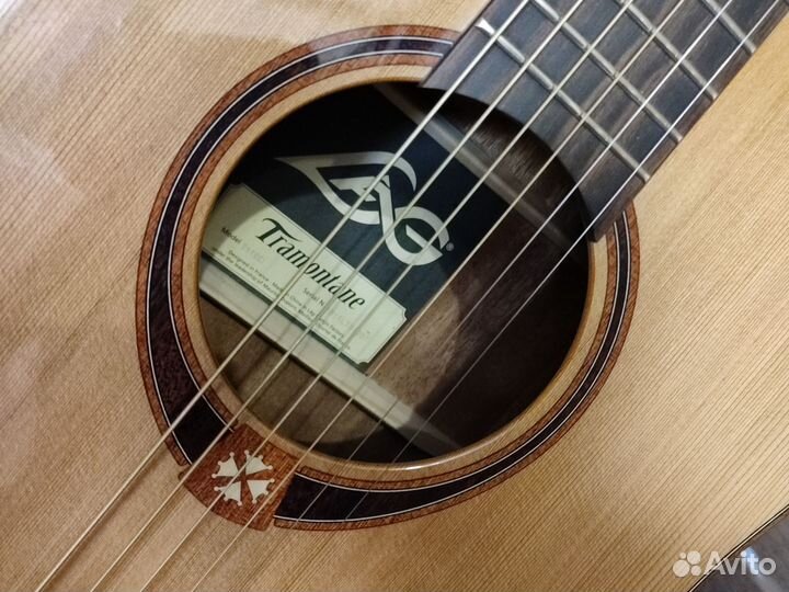 Cort Earth 60 акустическая гитара