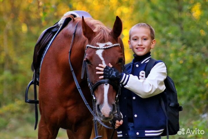 Конные прогулки/обучение верховой езде
