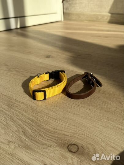 Амуниция для собак