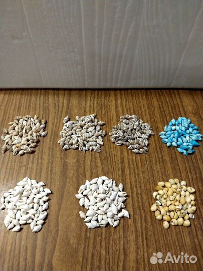 Ракушки мелкие для декора, поделок